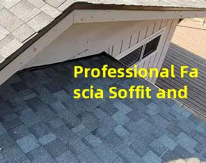 Professional Fascia Soffit and Gutter Repair Combined with Roofing Services